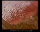 Bile solubility test